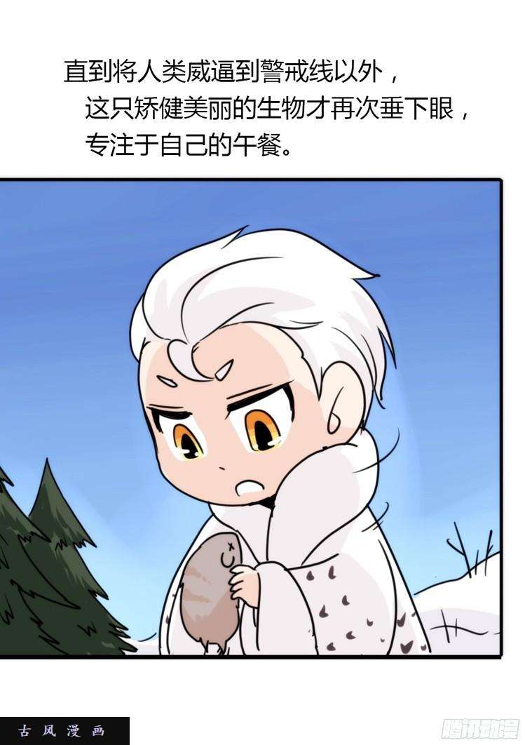 进化之基飞吧小少爷：笑一个吧小少爷
