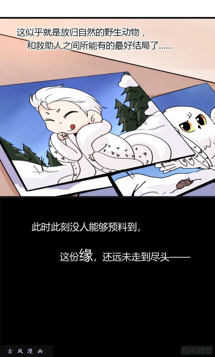 进化之基飞吧小少爷：笑一个吧小少爷