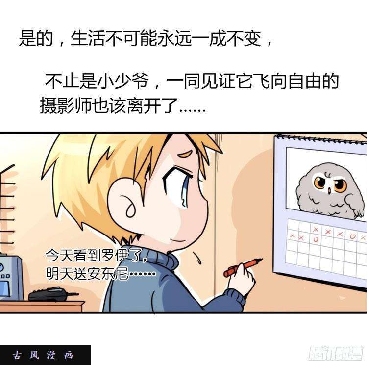 进化之基飞吧小少爷：笑一个吧小少爷