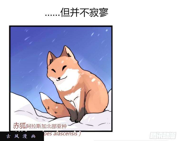 进化之基飞吧小少爷：笑一个吧小少爷