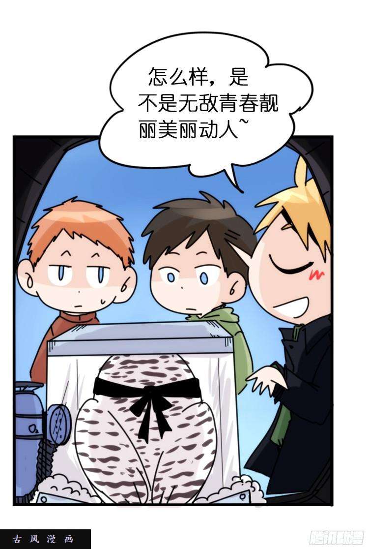 进化之基飞吧小少爷：再相逢