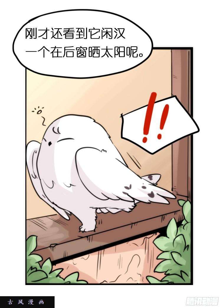 进化之基飞吧小少爷：再相逢