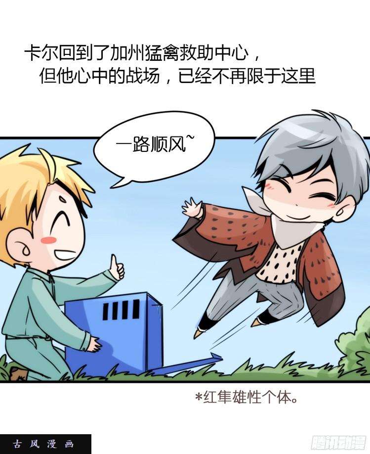 进化之基飞吧小少爷：再相逢