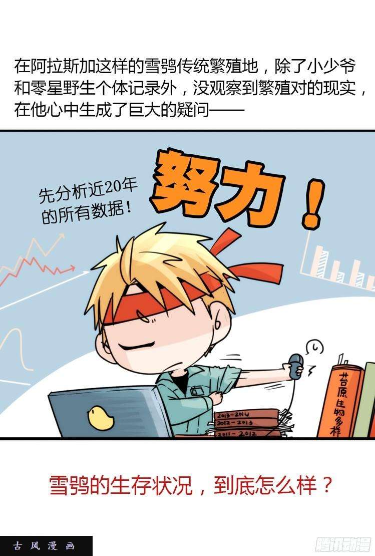 进化之基飞吧小少爷：再相逢