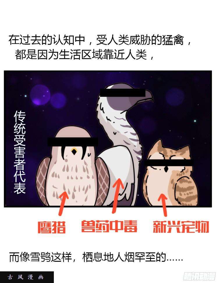 进化之基飞吧小少爷：再相逢