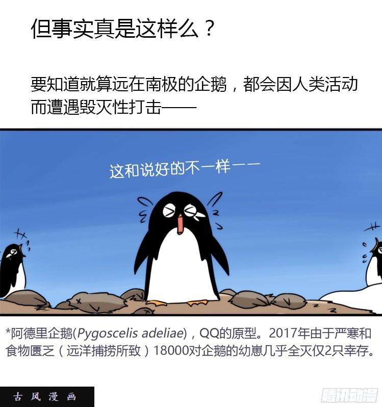 进化之基飞吧小少爷：再相逢