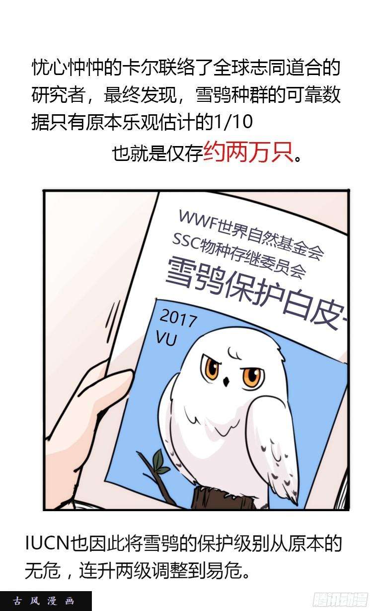 进化之基飞吧小少爷：再相逢