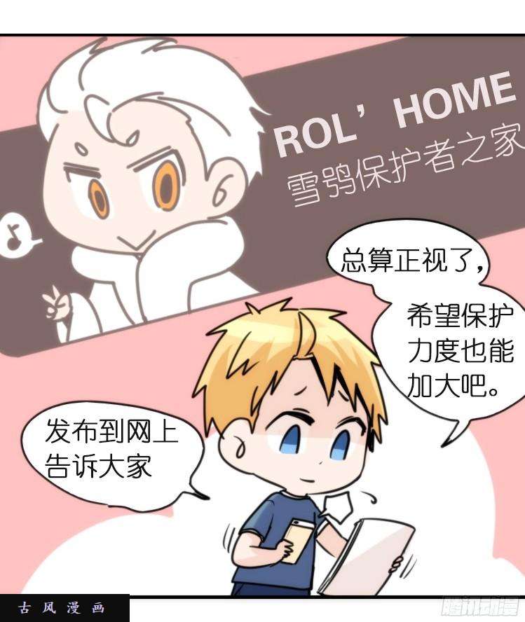 进化之基飞吧小少爷：再相逢