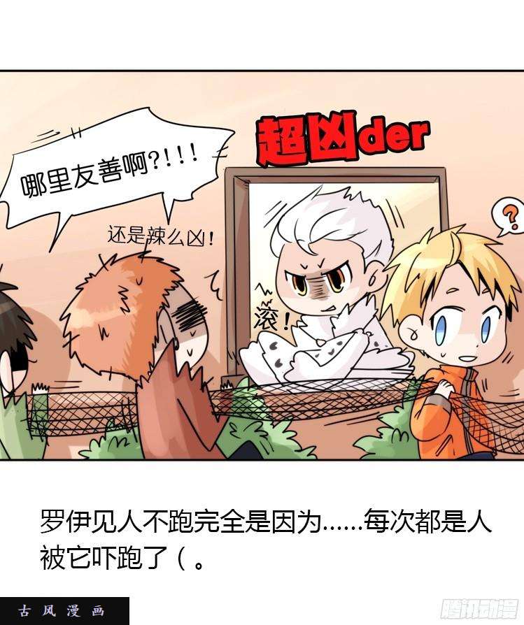 进化之基飞吧小少爷：注意风度呀！
