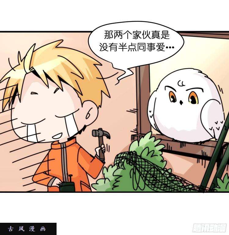 进化之基飞吧小少爷：注意风度呀！