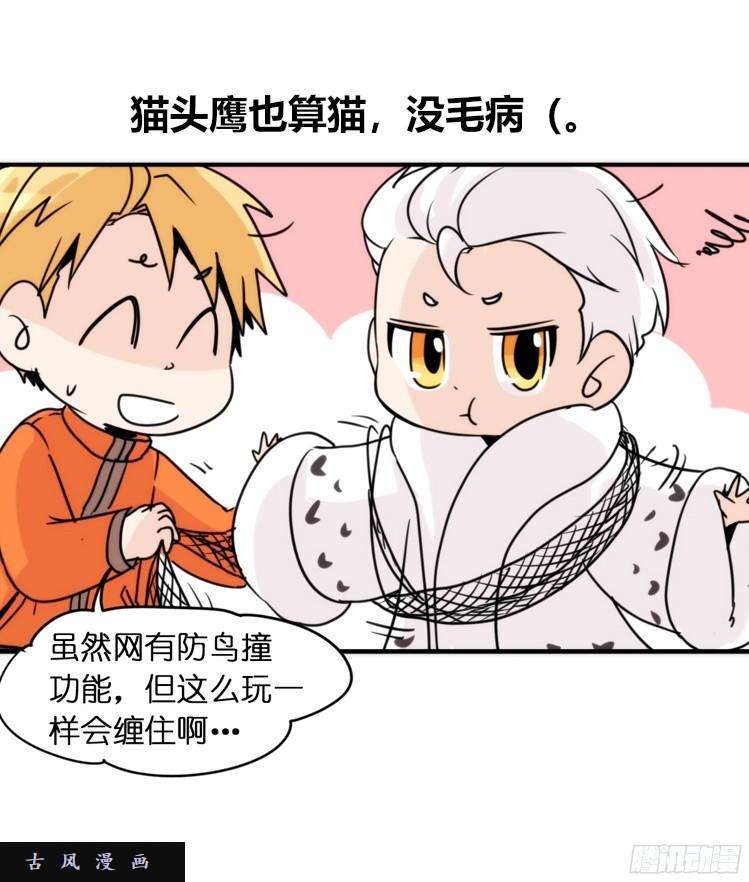 进化之基飞吧小少爷：注意风度呀！