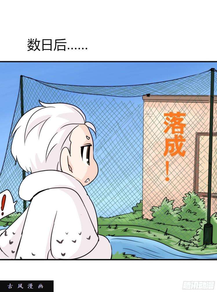 进化之基飞吧小少爷：注意风度呀！