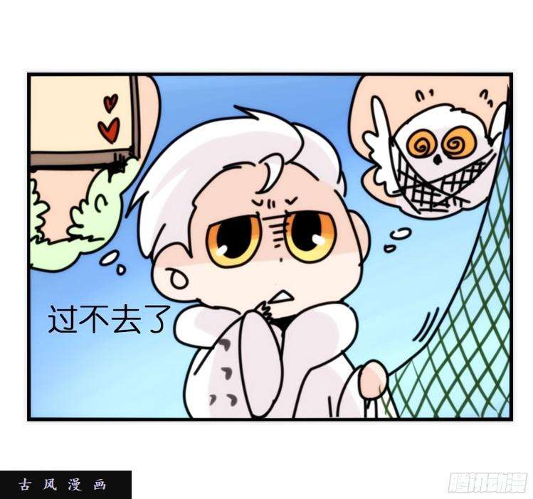 进化之基飞吧小少爷：注意风度呀！