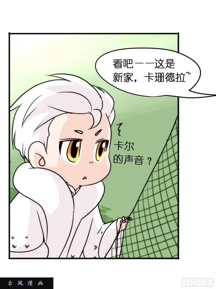 进化之基飞吧小少爷：注意风度呀！