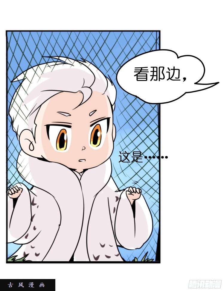 进化之基飞吧小少爷：注意风度呀！
