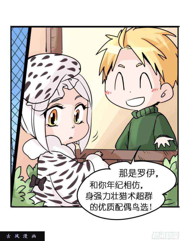 进化之基飞吧小少爷：注意风度呀！