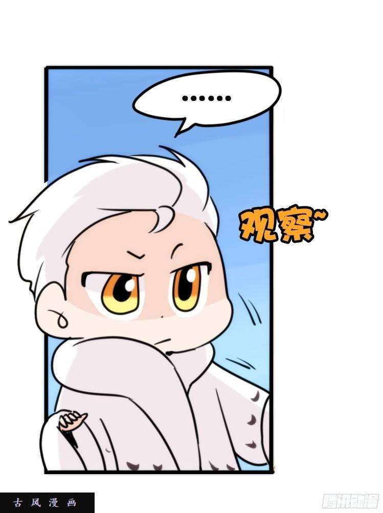 进化之基飞吧小少爷：注意风度呀！