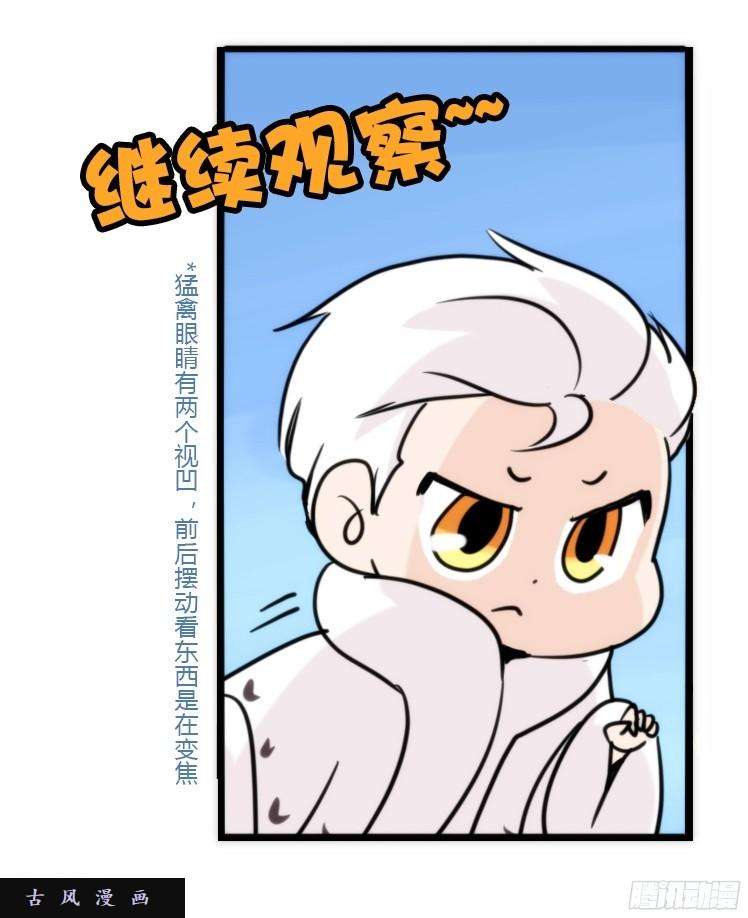 进化之基飞吧小少爷：注意风度呀！