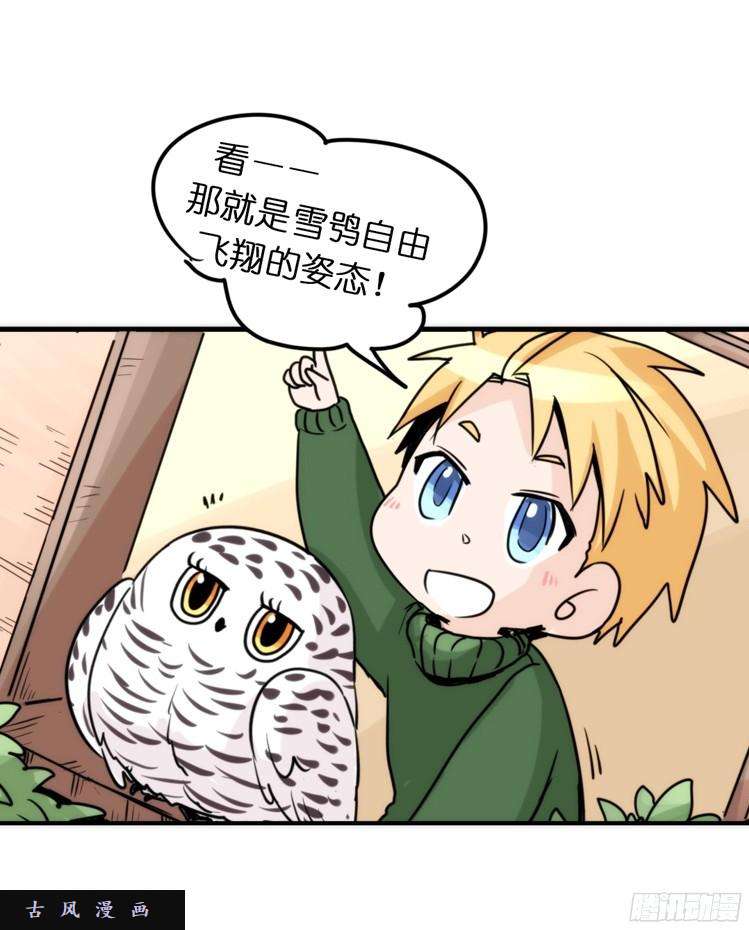 进化之基飞吧小少爷：注意风度呀！