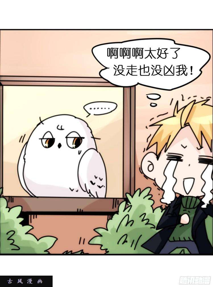 进化之基飞吧小少爷：注意风度呀！