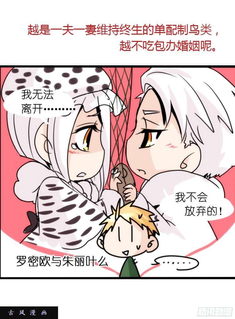 进化之基飞吧小少爷：恋爱季和注孤生？