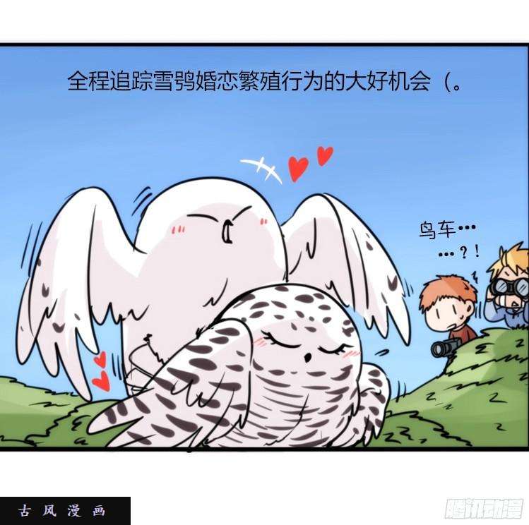 进化之基飞吧小少爷：恋爱季和注孤生？