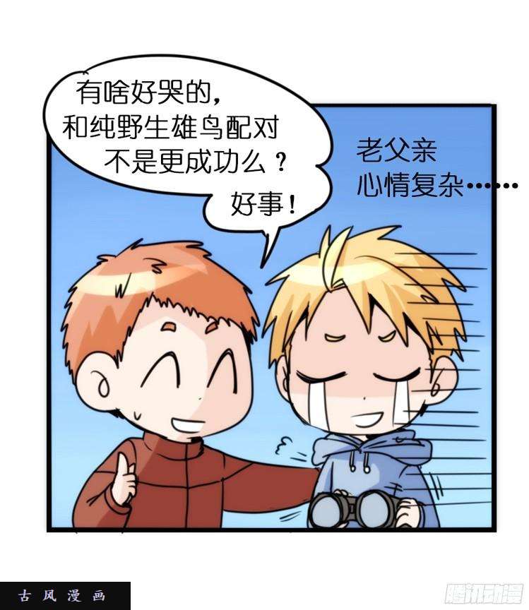 进化之基飞吧小少爷：恋爱季和注孤生？