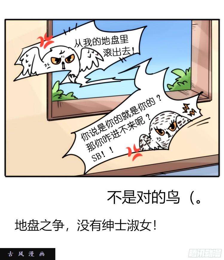 进化之基飞吧小少爷：恋爱季和注孤生？
