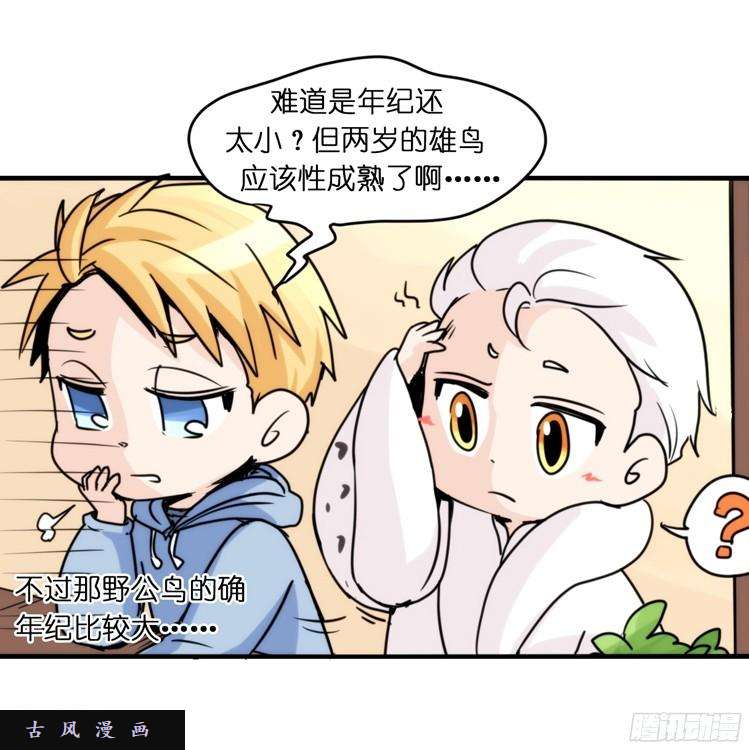 进化之基飞吧小少爷：恋爱季和注孤生？