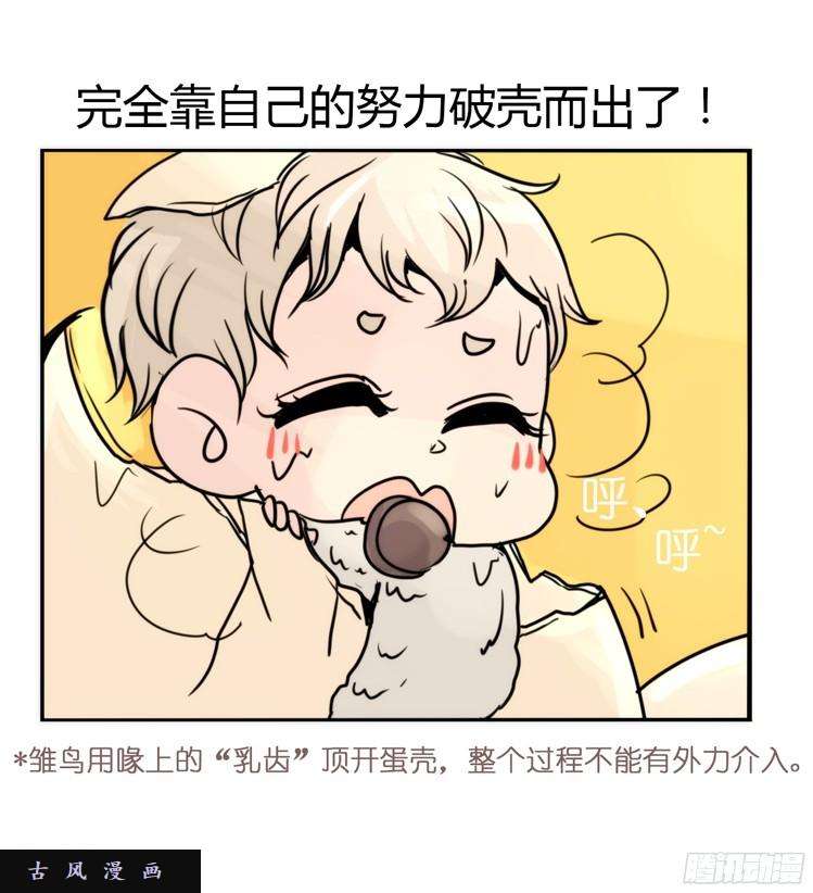 进化之基飞吧小少爷：生生不息