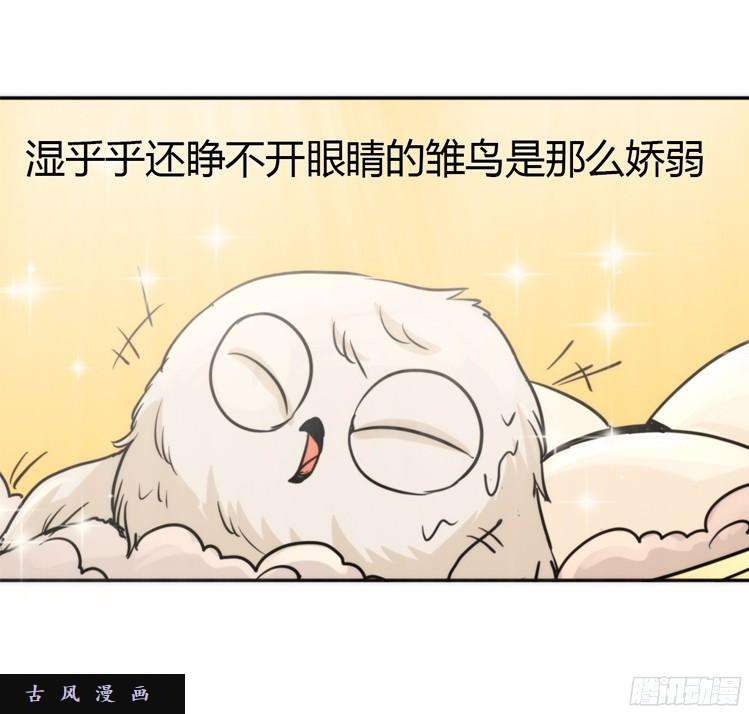 进化之基飞吧小少爷：生生不息