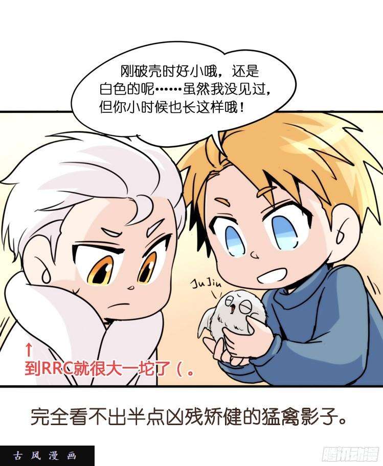 进化之基飞吧小少爷：生生不息