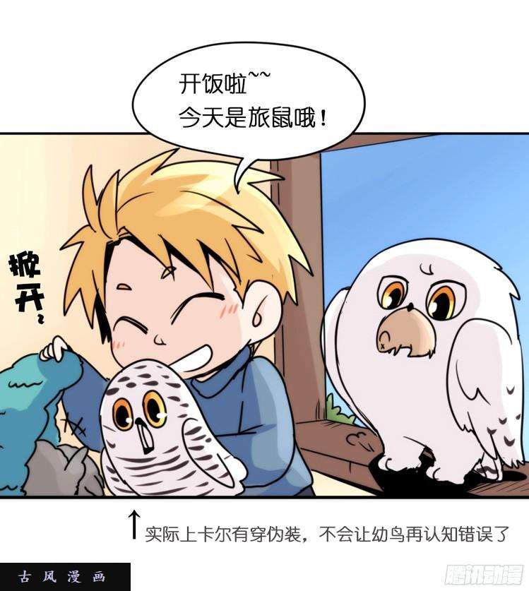 进化之基飞吧小少爷：生生不息