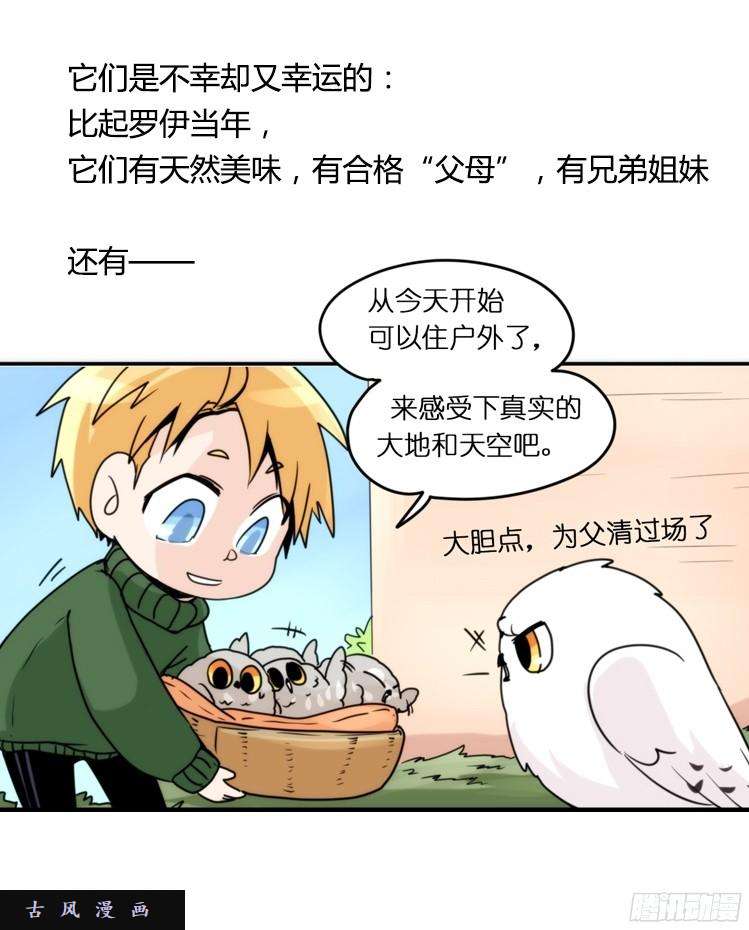 进化之基飞吧小少爷：生生不息