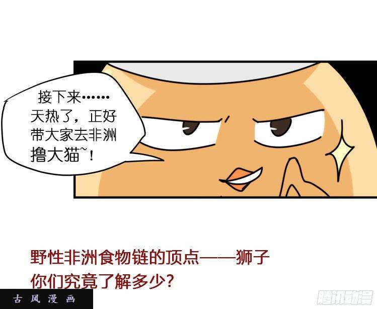 进化之基飞吧小少爷：生生不息