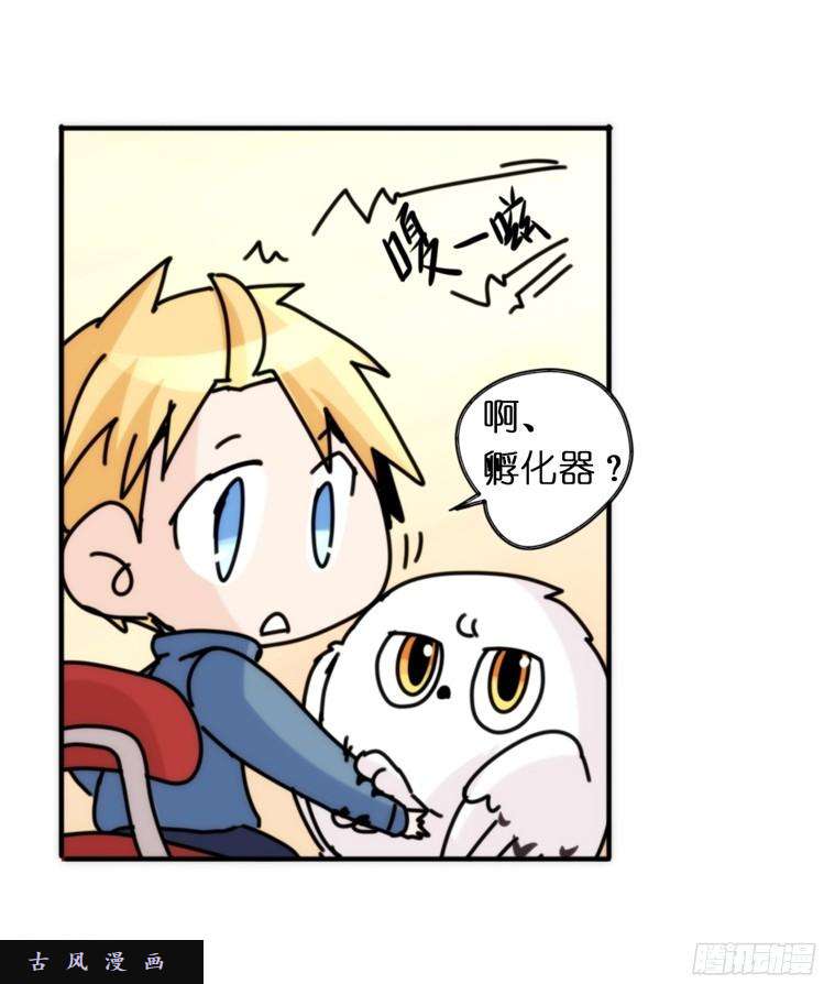 进化之基飞吧小少爷：生生不息