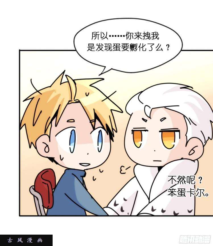 进化之基飞吧小少爷：生生不息