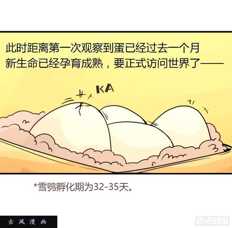 进化之基飞吧小少爷：生生不息