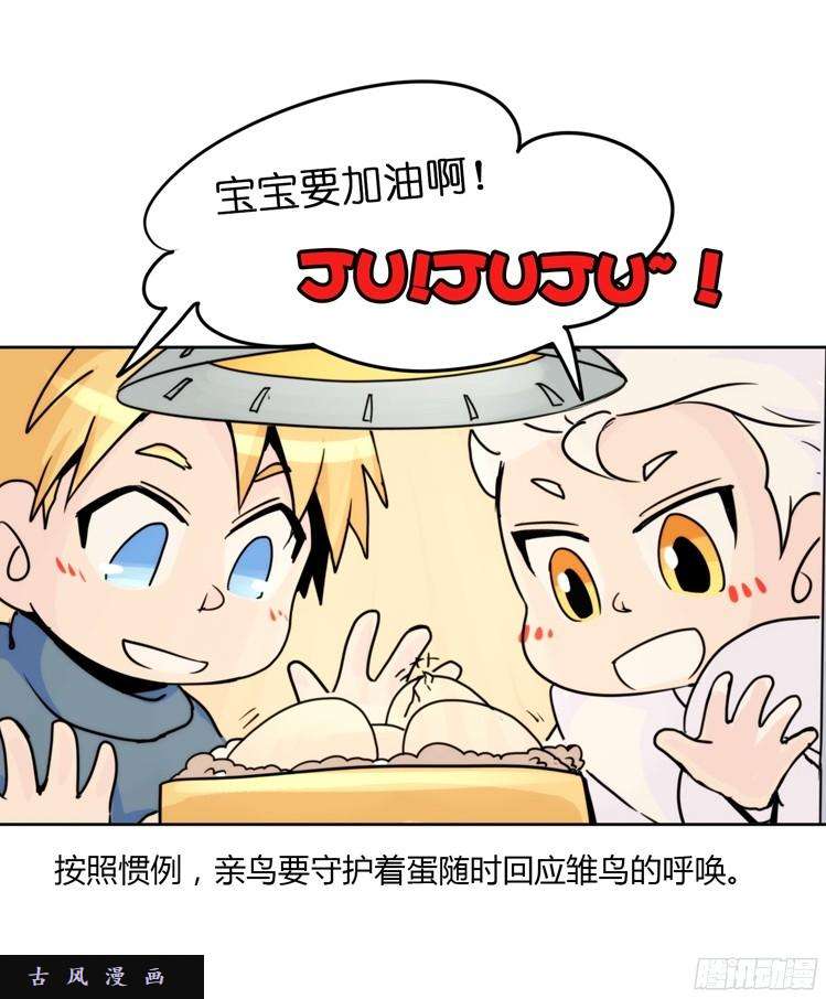 进化之基飞吧小少爷：生生不息