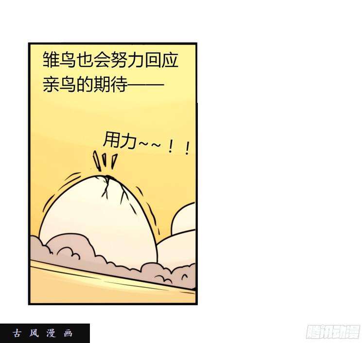 进化之基飞吧小少爷：生生不息