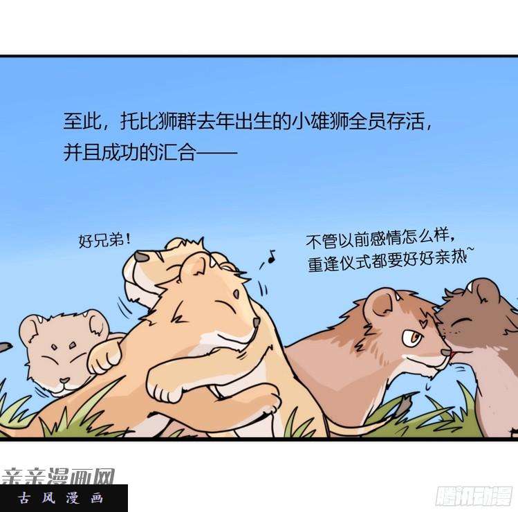 进化之基是这样的狮JI王？！-07