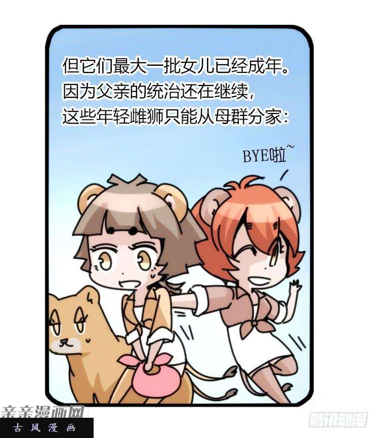 进化之基是这样的狮JI王？！-16