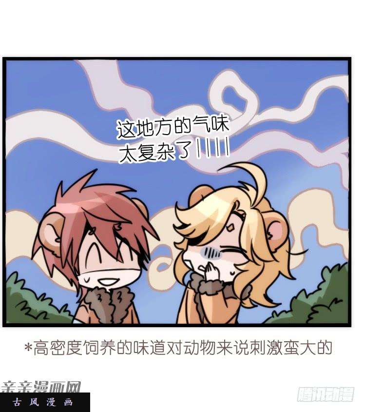 进化之基是这样的狮JI王？！-20