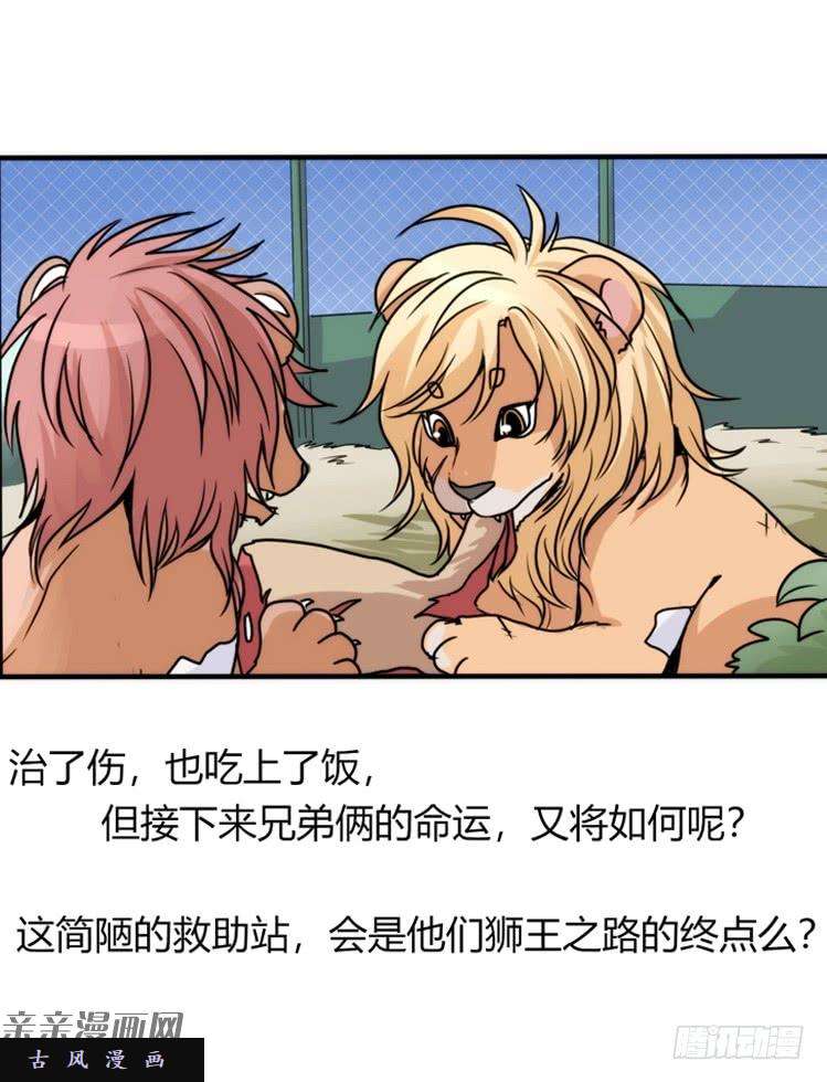 进化之基是这样的狮JI王？！-20