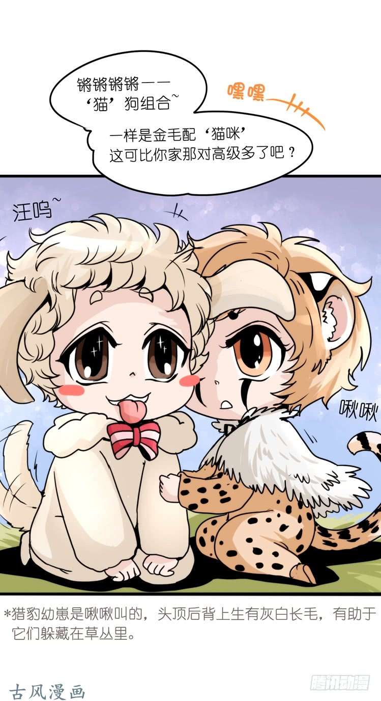 进化之基是这样的狮JI王？！-21