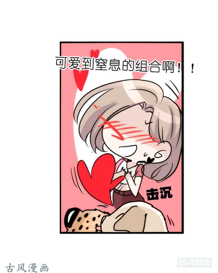 进化之基是这样的狮JI王？！-21