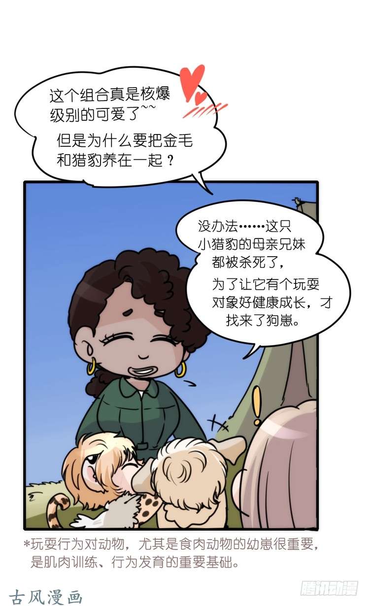 进化之基是这样的狮JI王？！-21