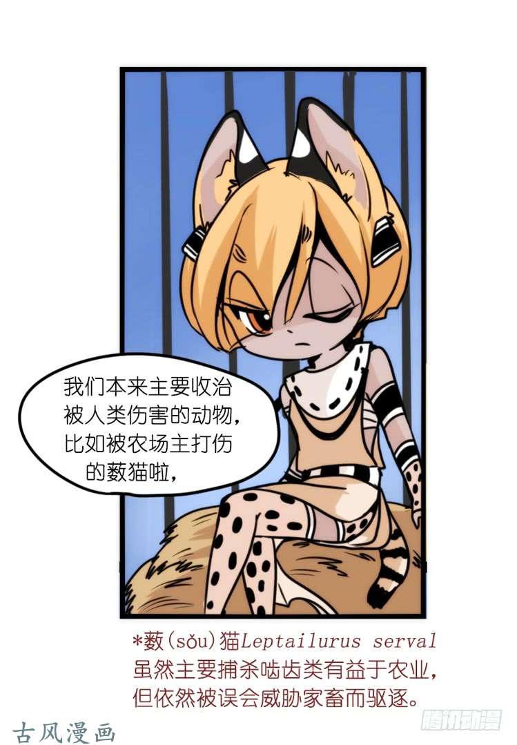 进化之基是这样的狮JI王？！-21