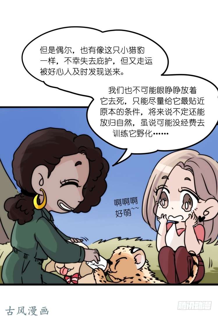 进化之基是这样的狮JI王？！-21