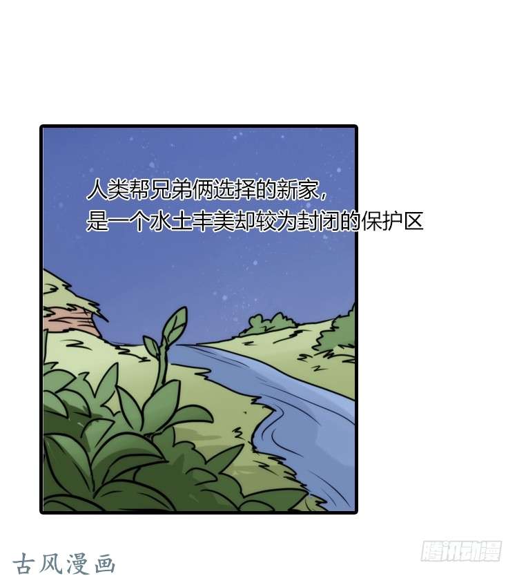 进化之基是这样的狮JI王？！-21